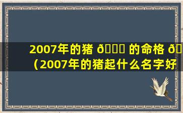 2007年的猪 🐞 的命格 🐞 （2007年的猪起什么名字好）